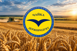 Золоті поля державного підприємства «Чайка»: поліція викрила масштабну схему розкрадання врожаю на 109 мільйонів гривень